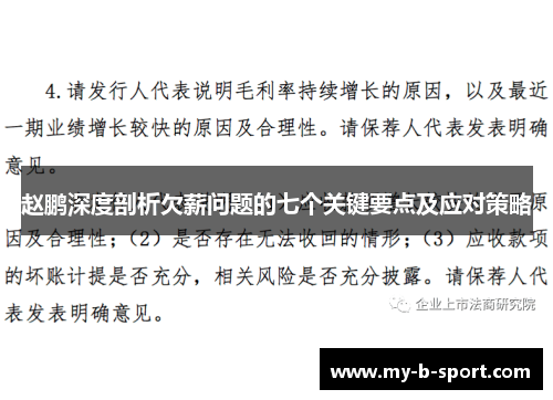 赵鹏深度剖析欠薪问题的七个关键要点及应对策略